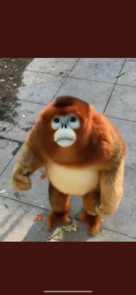 This guy shows up in the octagon across from you wyd???