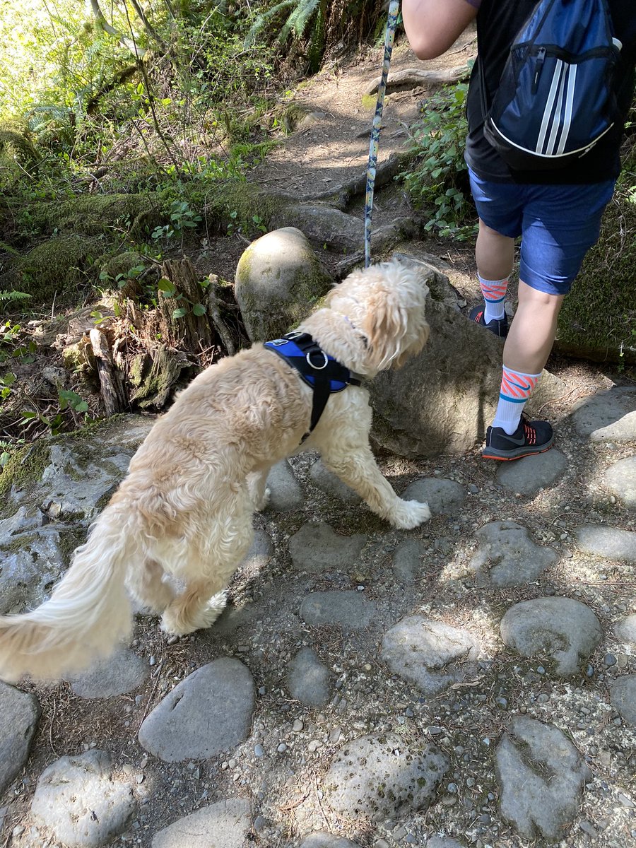 Cyber_Cake90's tweet photo. Went on a hike with my boys today ☀️☀️ https://t.co/cC7iyF57UE
