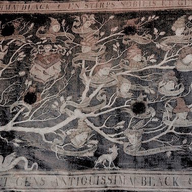 eIusivetruth's tweet image. »    ❛ you need to really want to
          cause pain - to enjoy it -
          righteous anger won't hurt me
          for long. ❜

    ┈  bellatrix black           
          soon to be death eater 
          devoted pureblood
          marauders era only