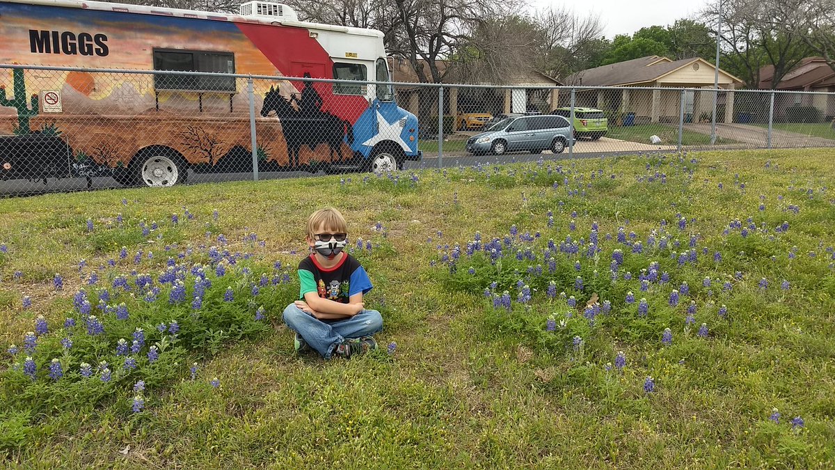 labbepk's tweet photo. Couldn't resist snapping some pics in the bluebonnets by the track. https://t.co/unO9acZEO9