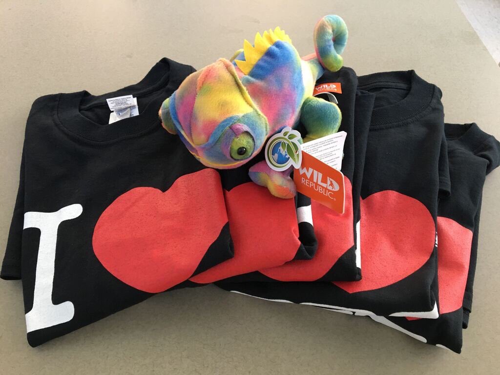 We had a wonderful round of flash talks to start day 2 of NCCAT’s Virtual Tomography Short Course. 

Congratulations to our flash talk award winners:
<a href="/JYang22638056/">JYangE</a>,
Hong Zhan,
<a href="/CryoSagar/">Sagar</a>,
Gabriela Condezo &amp;
Kelli Hvorecny

Your I ❤️ NY T-shirts are ready to be shipped to you.