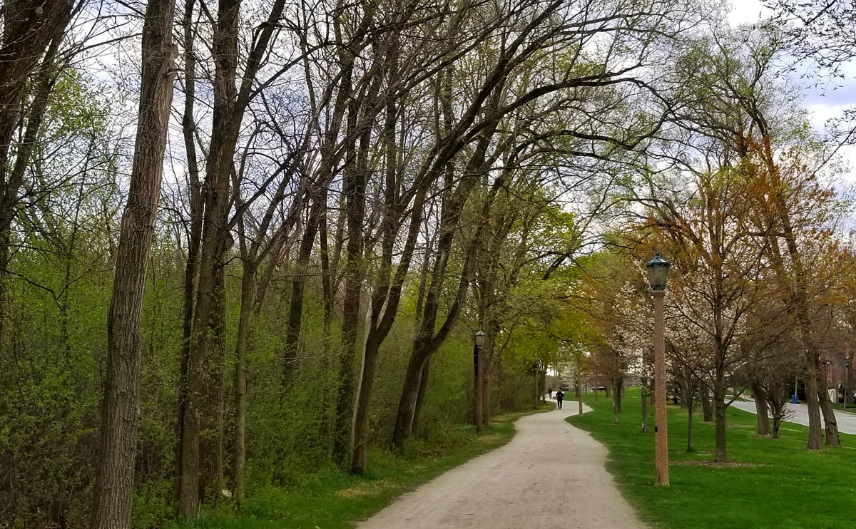 LynnKrizic's tweet photo. Great night for a run on the Prairie Path. #running #runchat #runningisntcancelled #runningchangeseverything #prairiepath #thisis65 https://t.co/osRIPNk6Mh