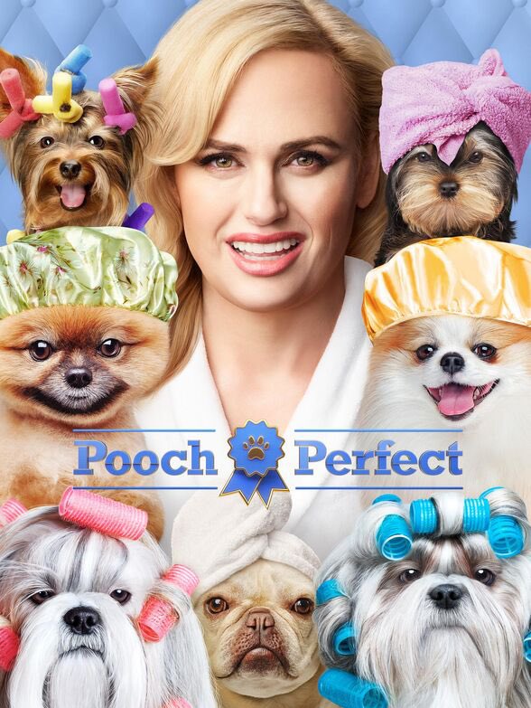 ‼️The secret is out‼️ TONIGHT is the night! Pearl’s surprise transformation is revealed on <a href="/poochperfectabc/">Pooch Perfect</a> 🤩 We had to keep Pearl’s new look top secret but now it’s the big reveal! 😍 Tune in to @abcnetwork tonight at 8 pm EST/PST to watch Pearl star alongside @rebelwilson 🌟