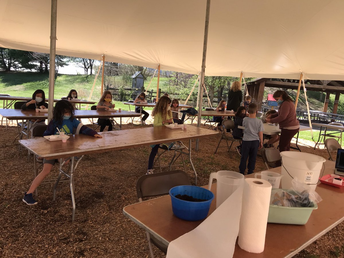 Second grade starting our plants unit in the outdoor classroom tent.