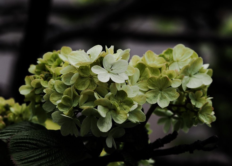 Peter James tweet media