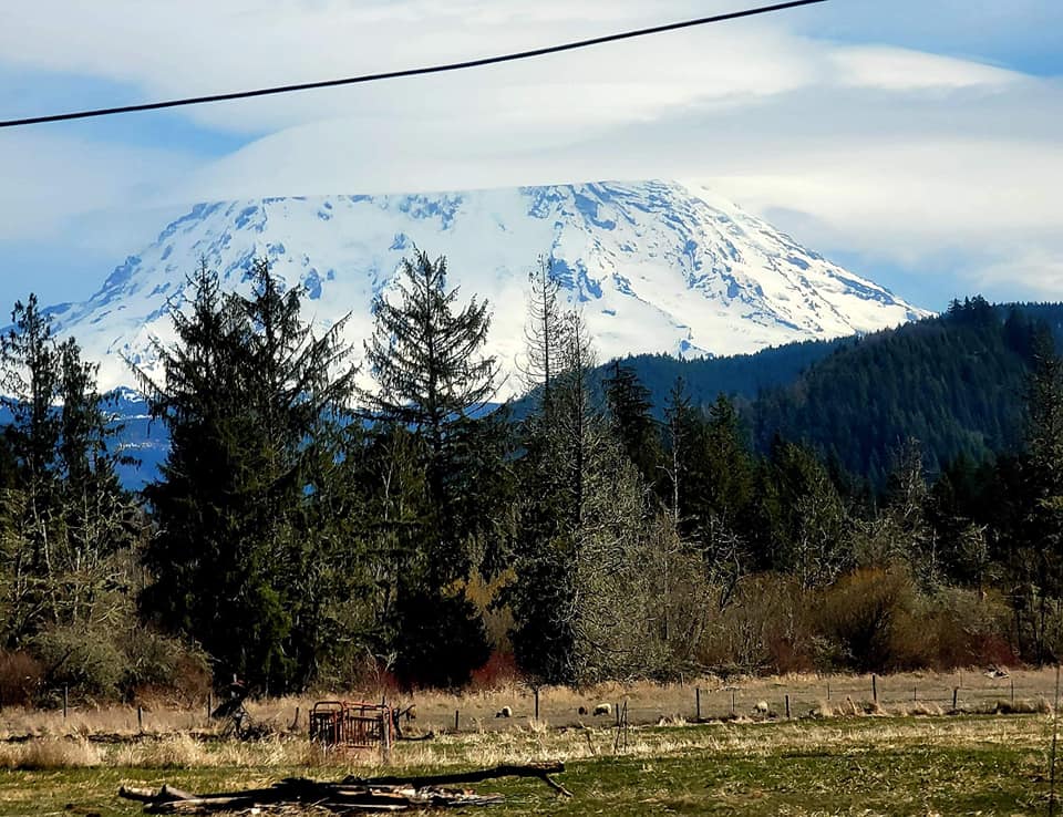 I haven't posted anything here in a long time, so here's a Tweet. Last week my family and I went on vacation in the mountains. It was pretty stunning. I've lived in the PNW for 11 years and never found my way into the mountains until now.
