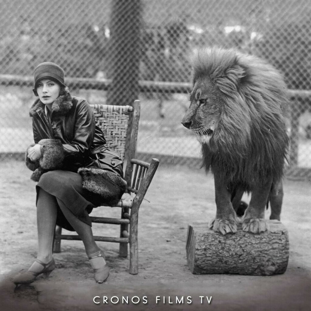 CRONOS FILMS TV tweet media