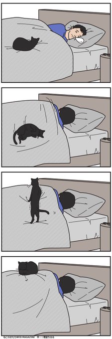 どうしても飼い主の上で眠りたい猫もいる 