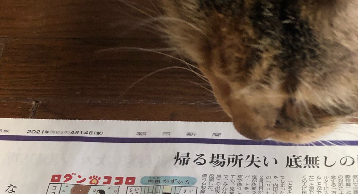 あの人気犬漫画 ロダンのココロ が復活 久しぶりの新作に喜びの声 Togetter あの人気犬漫画 ロダンのココロ が復活 久しぶりの新作に喜びの声 Togetter
