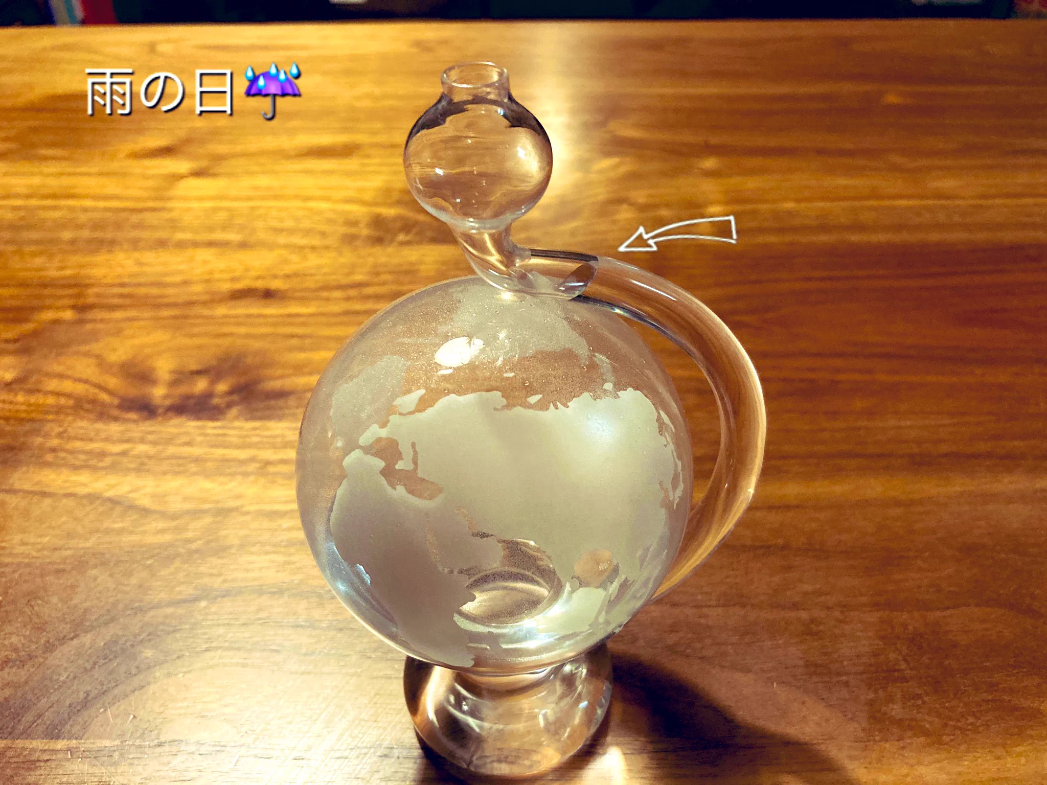 国立科学博物館で買った晴雨予報グラスがかなり当たる！？お土産にぜひ！