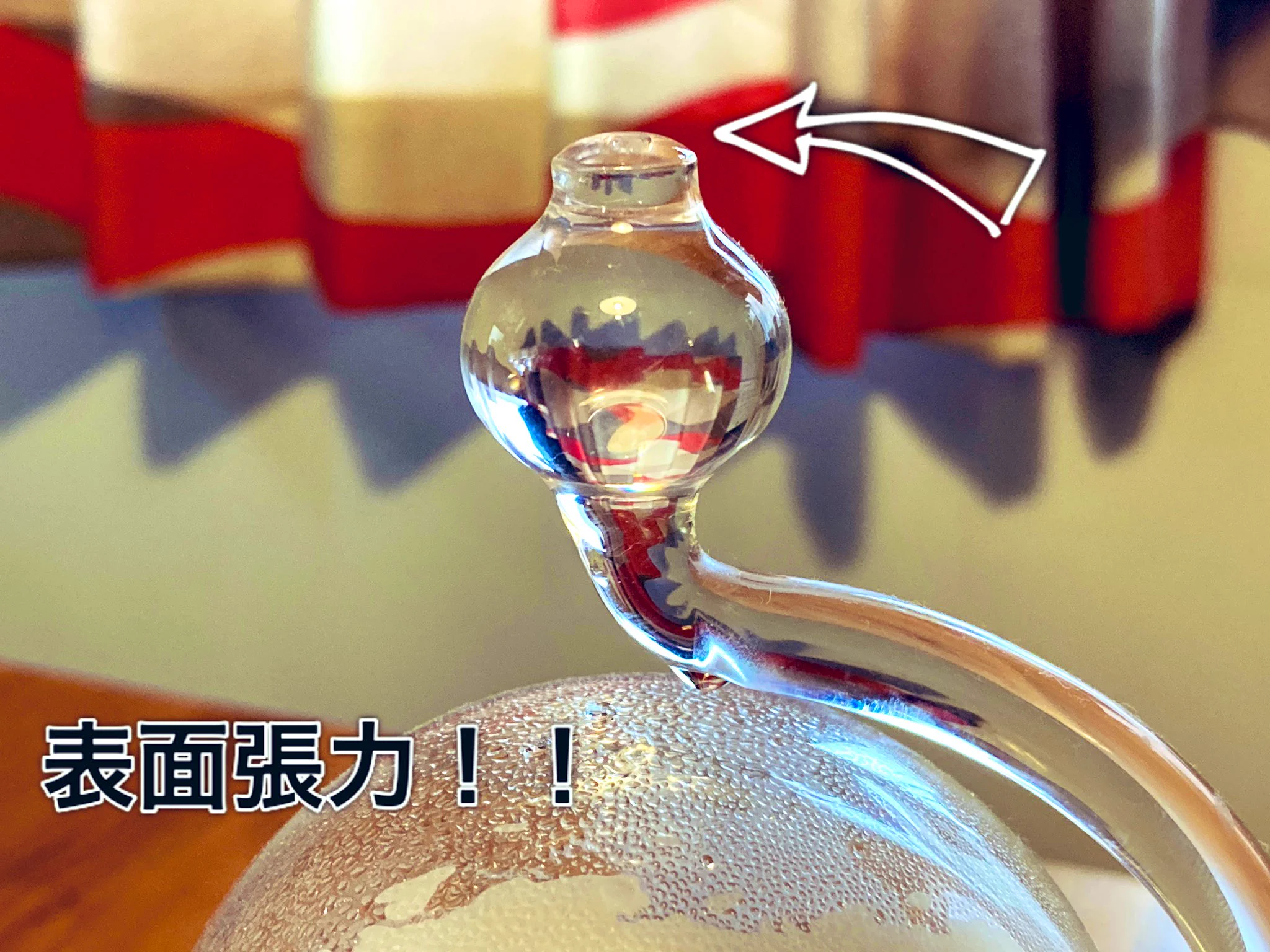 国立科学博物館で買った晴雨予報グラスがかなり当たる！？お土産にぜひ！