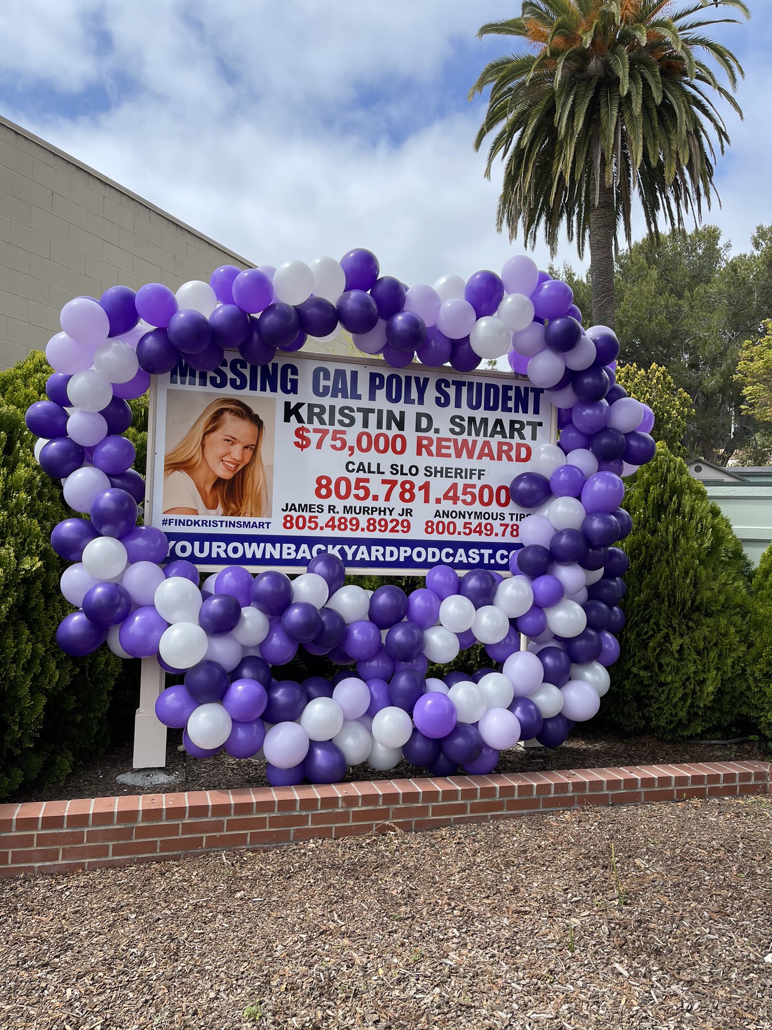 Megan Healy on Twitter members have decorated the Kristin