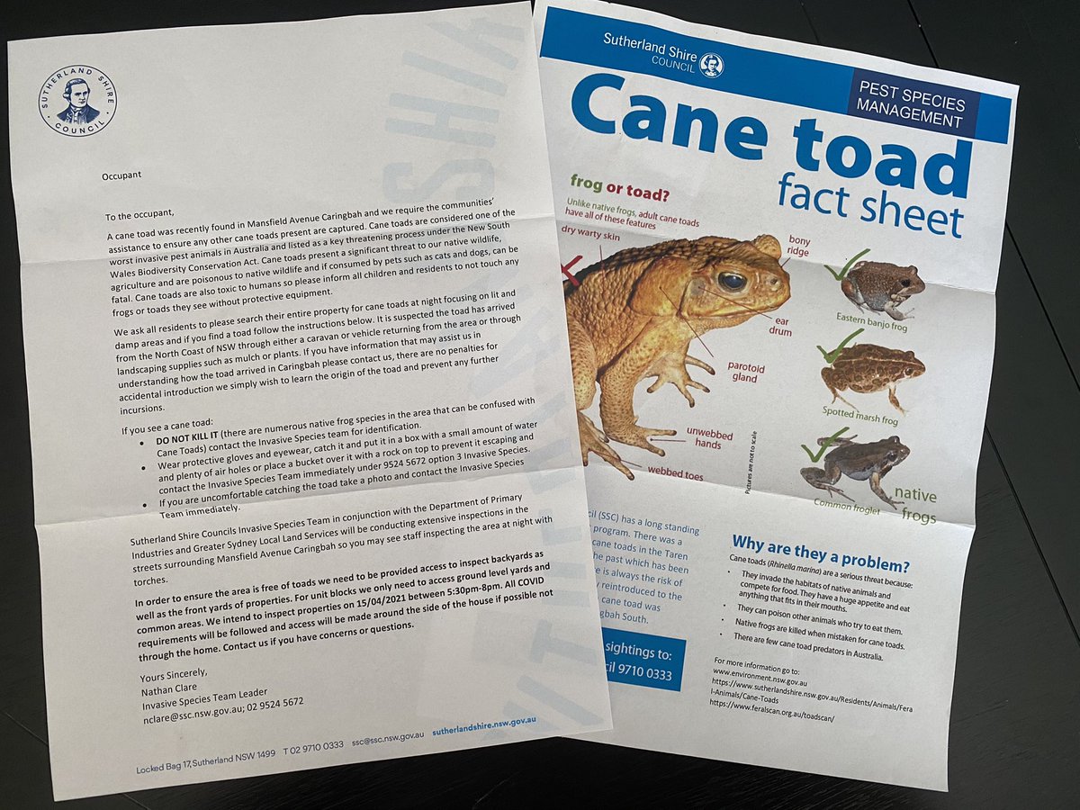 livc's tweet photo. A cane toad has been found in Caringbah, in the south of Sydney. Night-time searches to check it’s just a solo hitchhiker and not a population establishing. @jodirowley @FrogIDAus @jones_ann https://t.co/eZk7pd4Gda