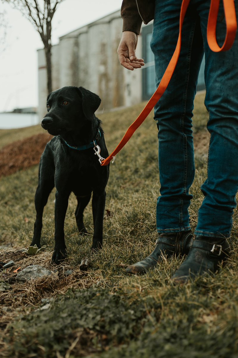 You haven't listened to 'Matthew McConaughey' yet? It'd be a lot cooler if you did.