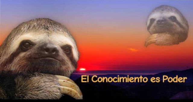 zoiezpezial's tweet image. 