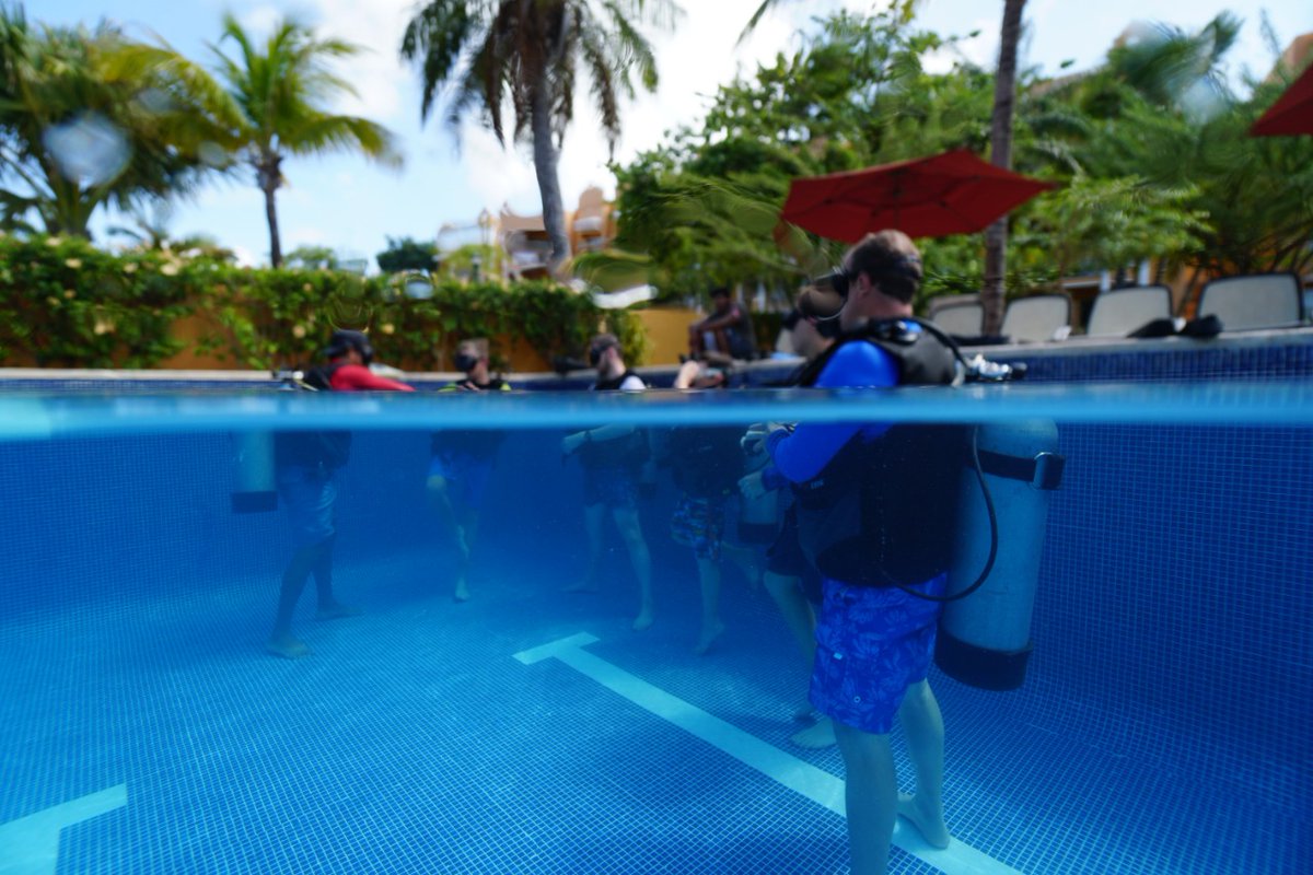 OceloteAdventur's tweet photo. Nuestros cursos de buceo #oceloteadventures #dondenacelaaventures #sueñalo #visitalo #mexico #privatetours #allyouneedistravel #rivieramaya #newexperiences #newplaces https://t.co/1g0mQNiIJ8