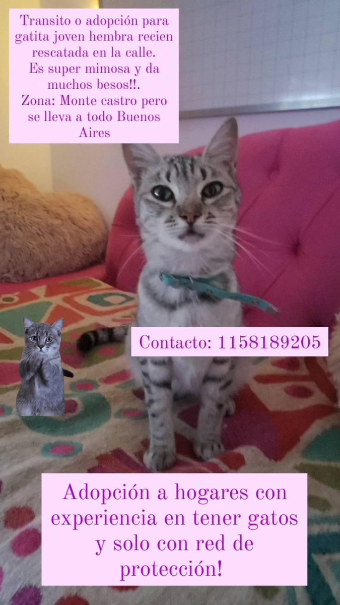 Difundir!!!
para adoptar comunicarse con el nro de la foto!