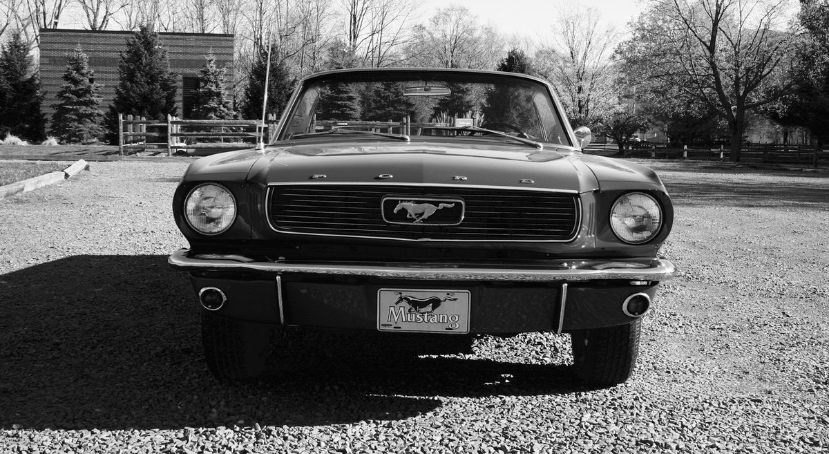 ClassicsandC's tweet photo. #66Mustang https://t.co/sm7XyViDTA