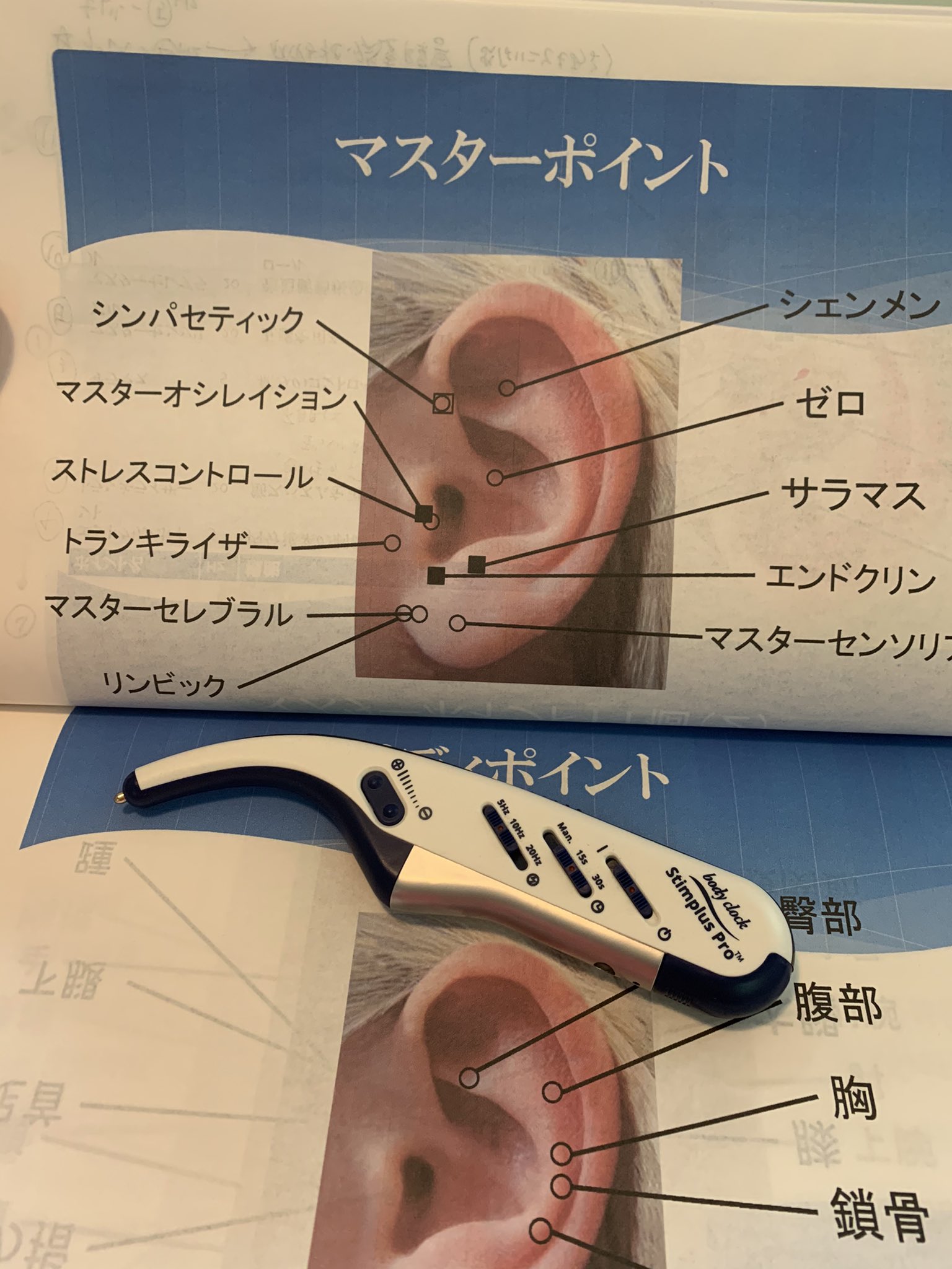 モリリン】カイロプラクティック哲学□中古□ モリリン】カイロ