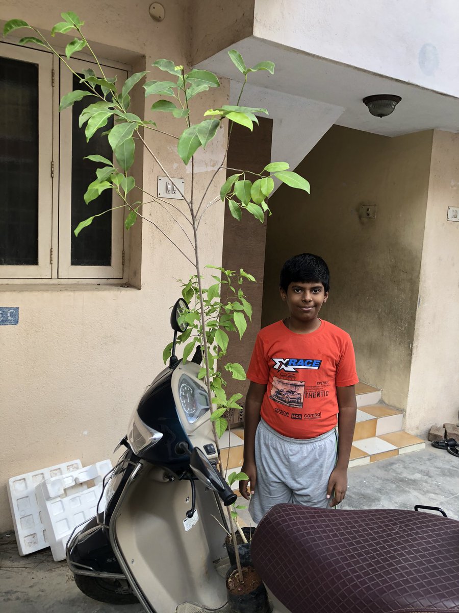 pnbalamurugan's tweet photo. 15 &amp; 16 of 48 #2treepermonth goal.

Long time desire. Brought and donated  Bilwa tree and Maghilam tree sapling to Sri Devi Karumariamman temple, Sembakkam #templegarden https://t.co/U6u8rAWCxX