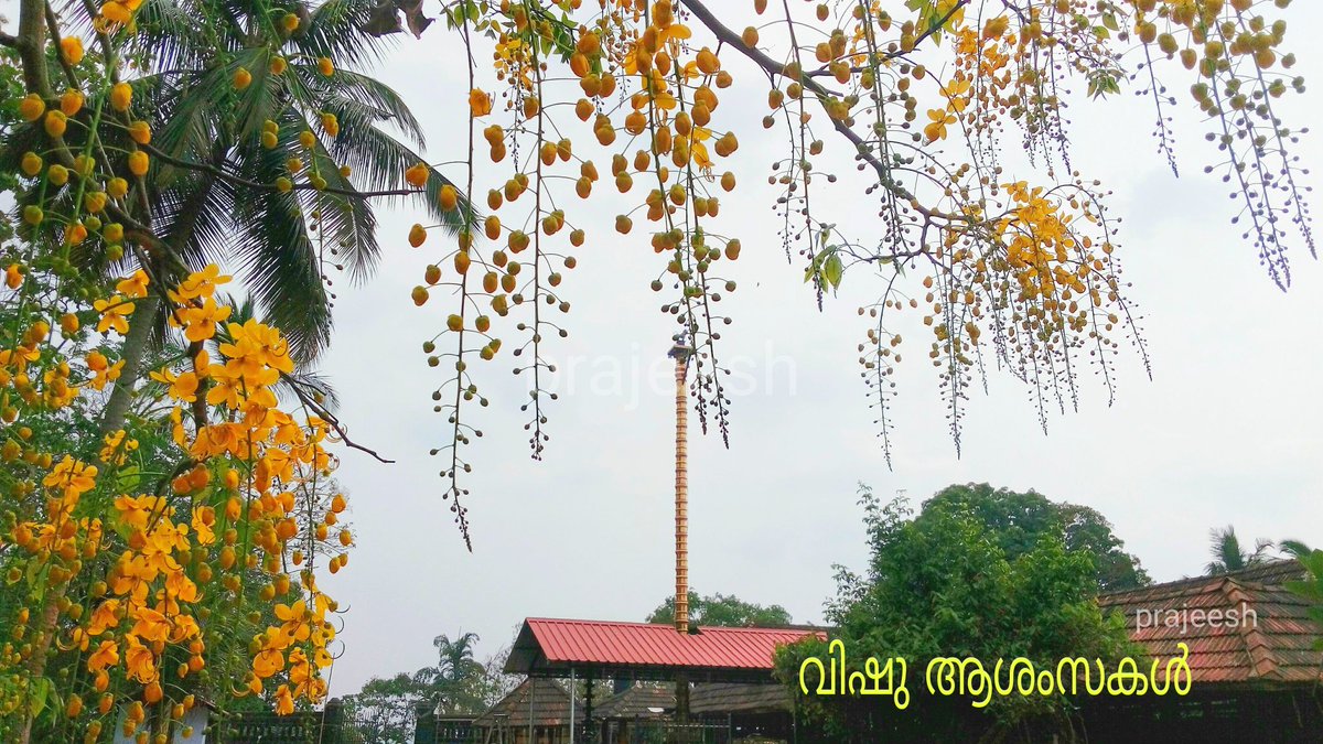 ManjeriPrajeesh's tweet image. 