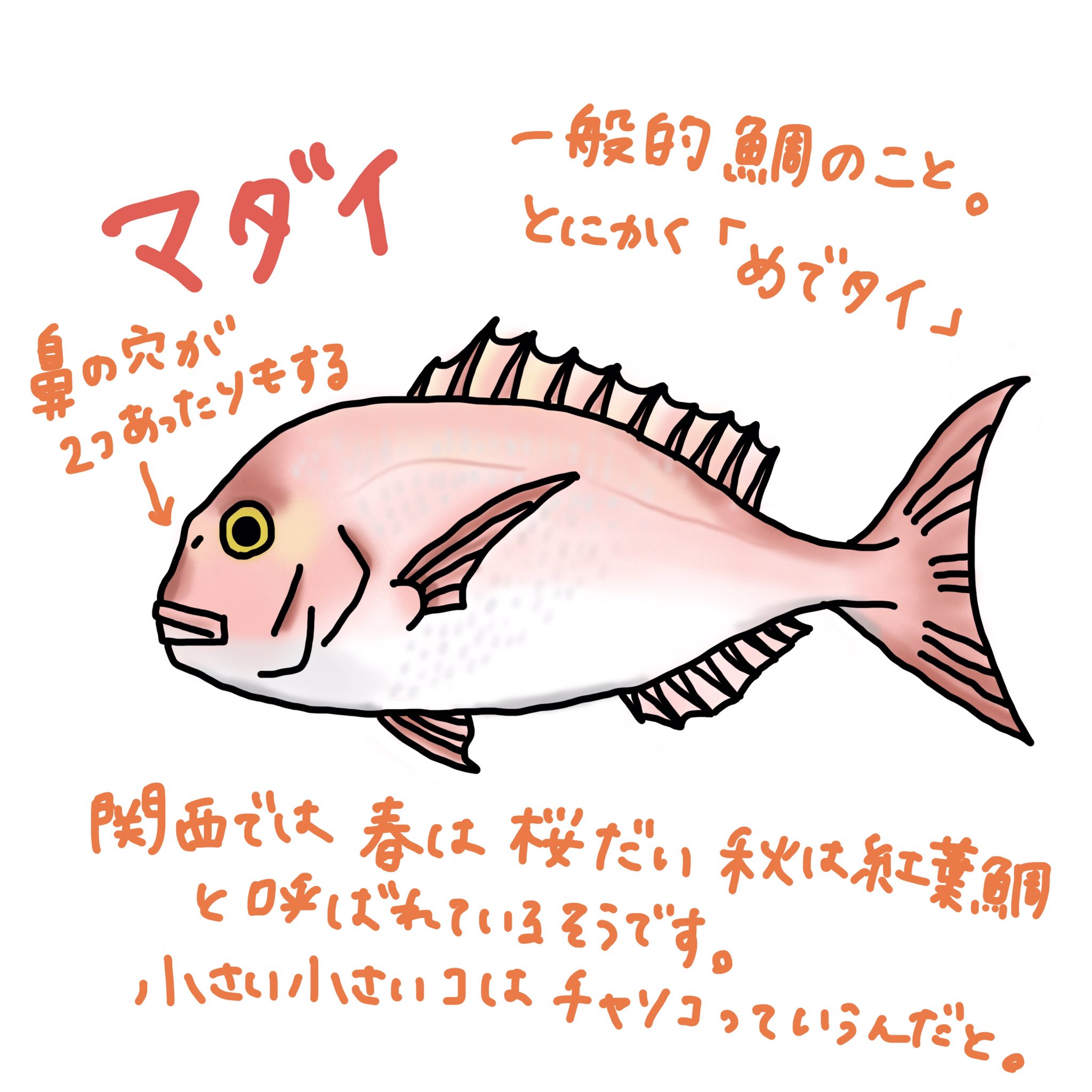 焼鯛 Twitter Search Twitter
