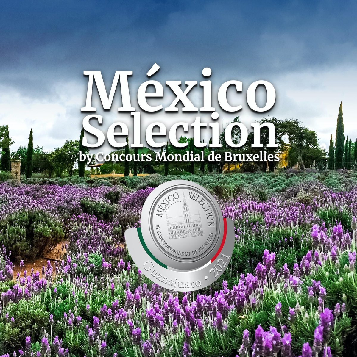 turismogobgente's tweet photo. 🍷 #Guanajuato se viste de gala al recibir la estafeta del #MexicoSelection by Concours Mondial de Bruxelles. 🍇 Por segunda ocasión nuestro estado será anfitrión de este increíble evento que reconoce los mejores vinos y espirituosos de México. https://t.co/QYKIEFCKa3