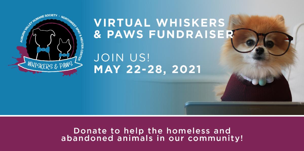 Auburn Valley Humane Society tweet media