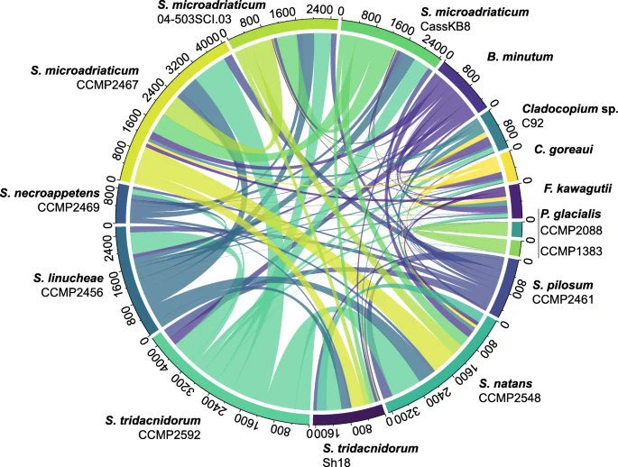 After a very long journey, the last paper of my #PhD has been published! 🎉

doi.org/10.1186/s12915…

This article combines two of our preprints. See thread and share!

#Symbiodinium #Symbiodiniaceae #Genomics