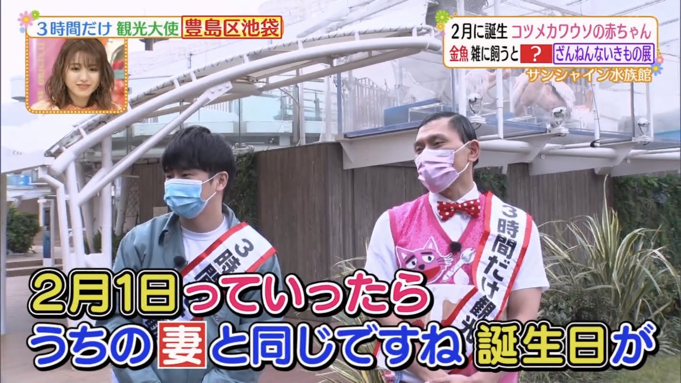 オードリー　まとめ ワカウソマニア on X: 