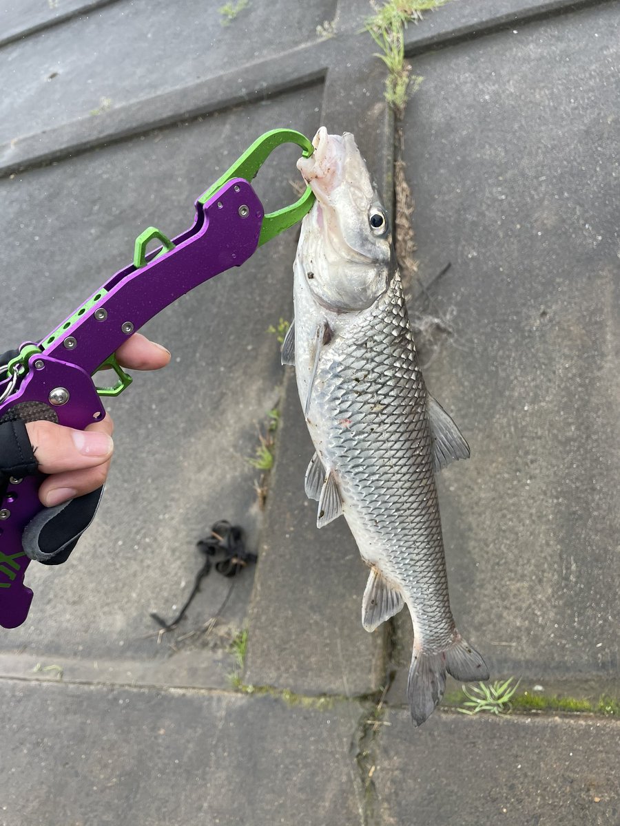 Haruki 海釣り垢 Fishingsaitama Twitter Haruki 海釣り垢 Fishingsaitama Twitter