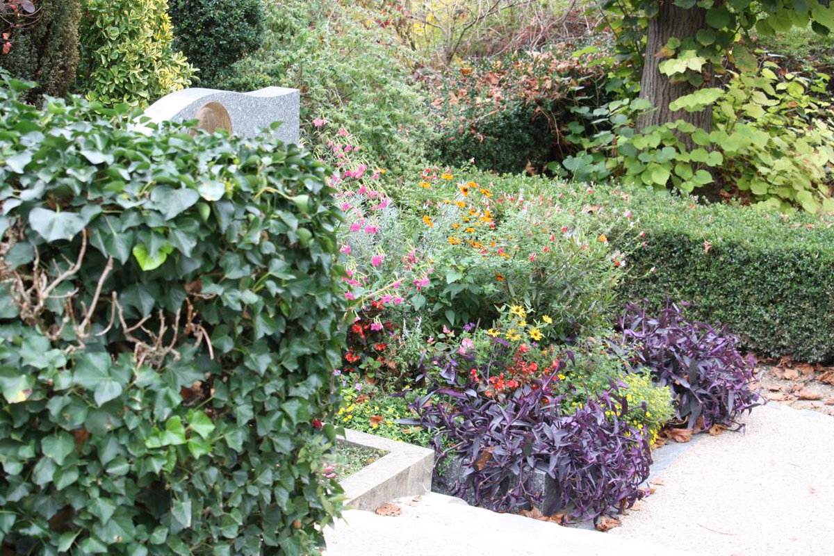 #Zérophyto ➡️ A partir du 1er juillet 2022, il ne sera plus possible d’utiliser des #pesticides dans les #cimetières, sauf les produits de #biocontrôle, ceux à faibles risques et ceux autorisés en agriculture biologique. Pour mieux comprendre ⤵️   bit.ly/3wUcQVm