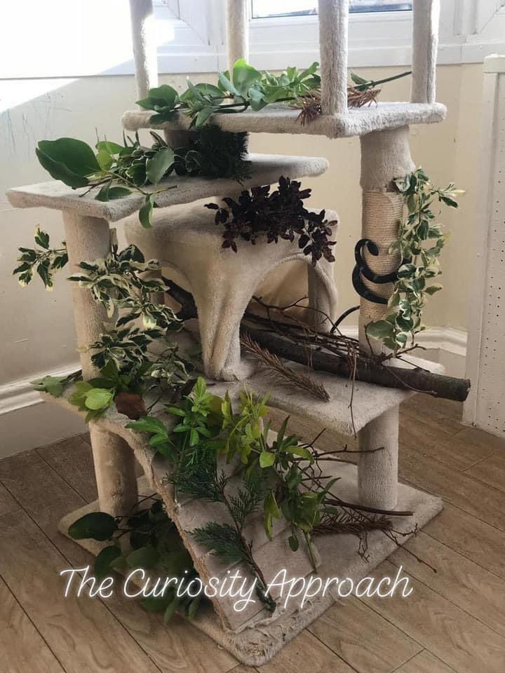 Mrs_D_EYFS's tweet photo. Cat scratching posts make an ideal blank canvas for small world play. No fixed pre determined idea or agenda. Whatever the interests of the children. Please notice that the greenery is REAL this helps children to connect to nature outdoors and indoors 🌿🌻🌸🌴🍄 https://t.co/DZX5U2eqE4