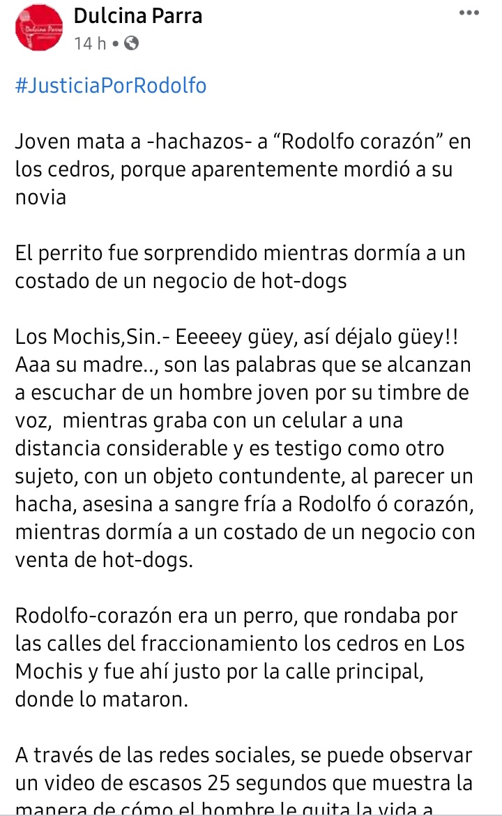 Pulgosodelotzo's tweet photo. #justiciapararodolfocorazon 
#JusticiaPorRodolfo

Joven mata a -hachazos- a “Rodolfo corazón” en los cedros, porque aparentemente mordió a su novia 

El perrito fue sorprendido mientras dormía a un costado de un negocio de hot-dogs https://t.co/3MVxPmGWCM
