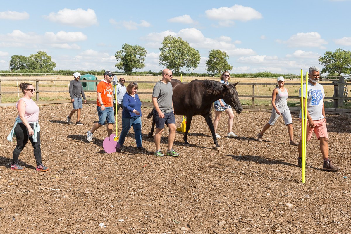 Delighted to be back in the field developing leaders and teams with the aid of my horses. Reconnect your team and transform your #leadership and #teamwork skills #WMOpen4Biz #WestMidlands #Warwickshire @WestMids_CA @GrBhamChambers