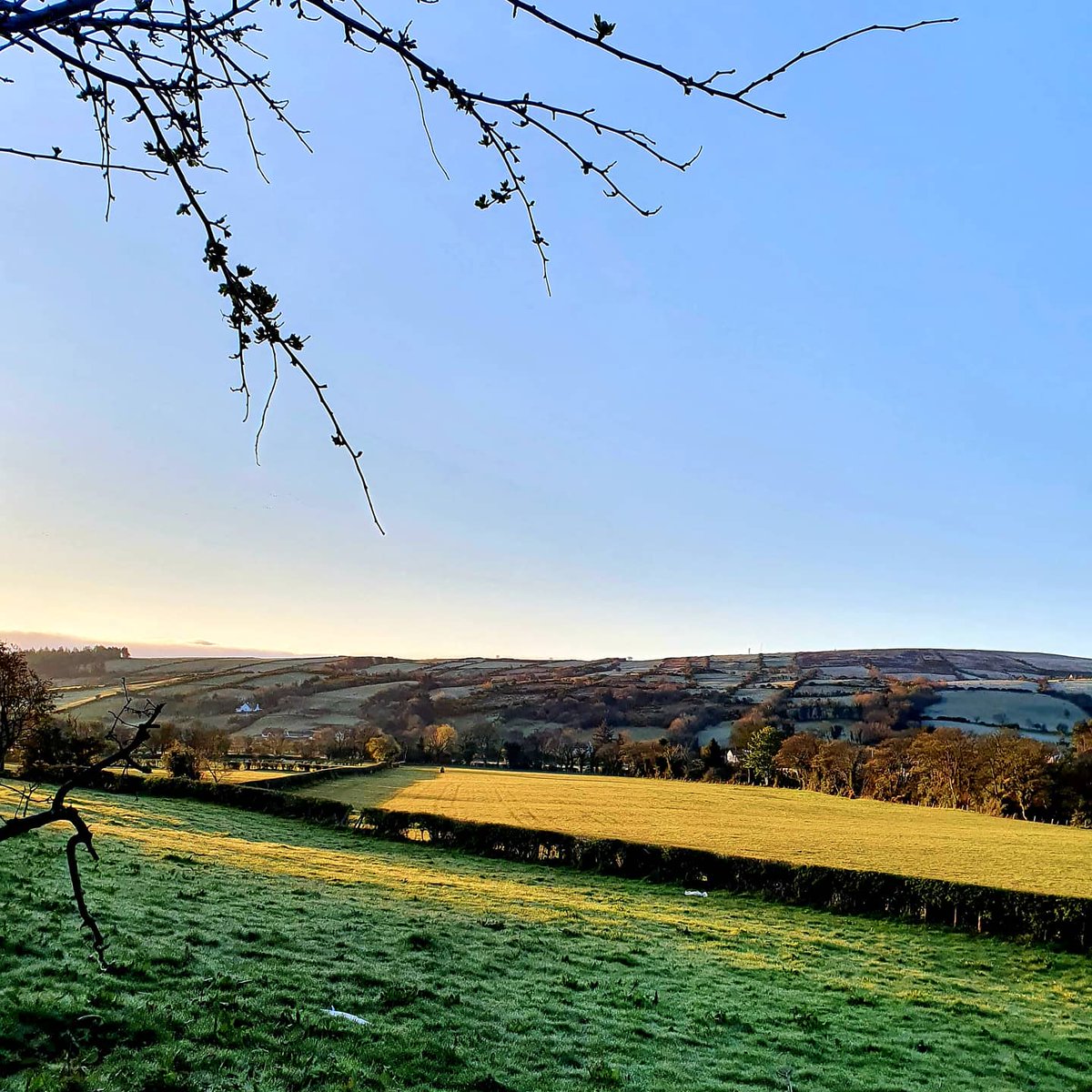 Well folks, Wednesday again, what a beautiful morning out for walk. Fields white with frost, full blue sky to start, with the Sun in full Shine, a little in the way of clouds now but still lovely for that daily walk, so up you get and out to enjoy.

#everythingisgoingtobeallright