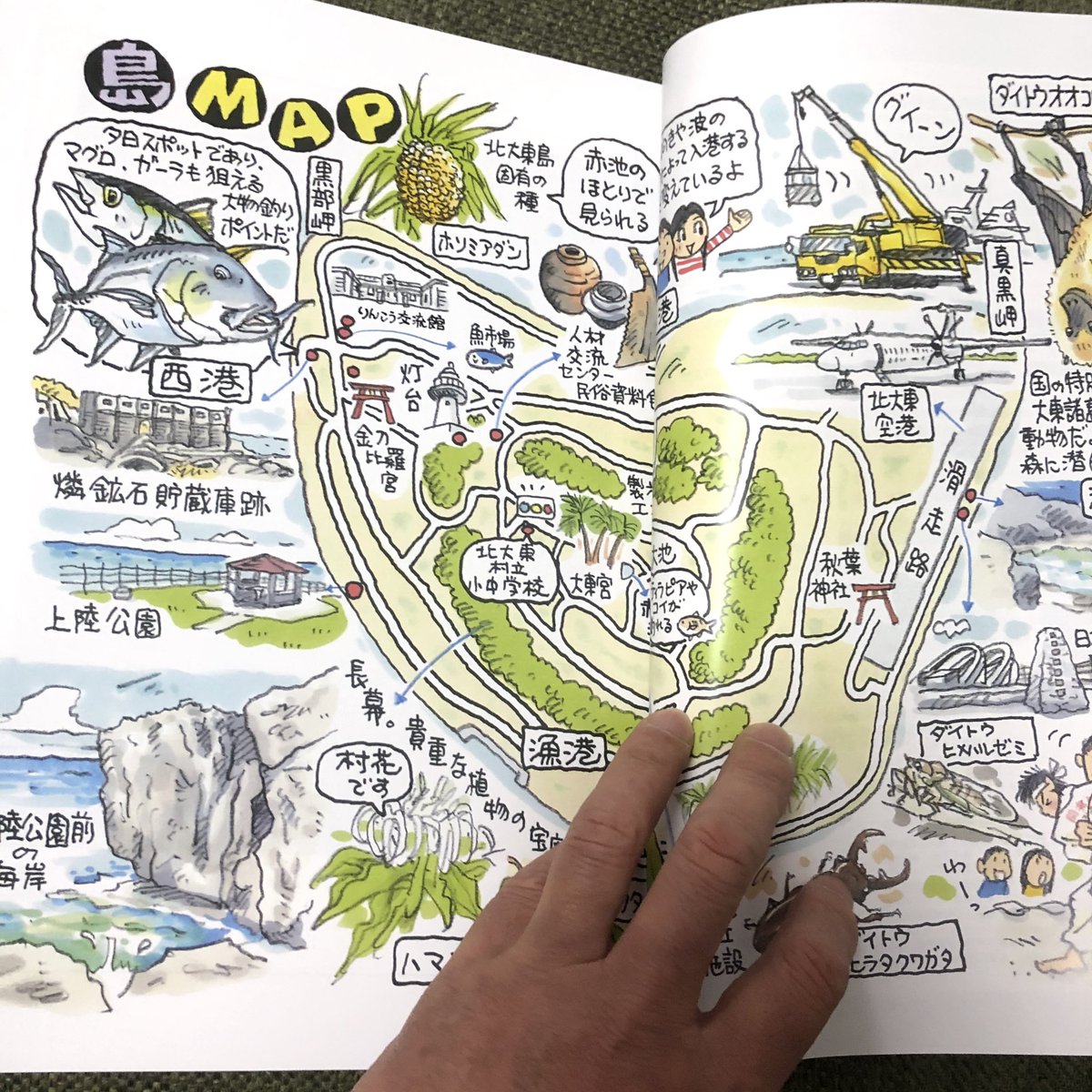 時川真一 北大東島の中学生向け社会科副読本のお仕事をさせていただきました 詳しくは以下urlをクリック T Co Jolvdske5x 北大東島 イラストルポ イラストマップ ぽてちゅう 大東寿司 大東太鼓