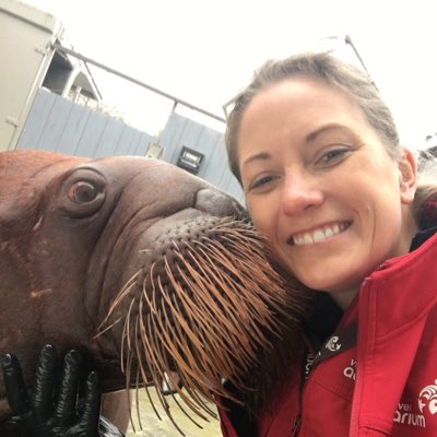 For anyone new, I am a marine biologist and animal behaviourist who is dedicating her content to education about marine life and conservation! Follow for awesome animal content! #NewProfilePic #marinemammals #marinemammaltrainer #marinebiologist