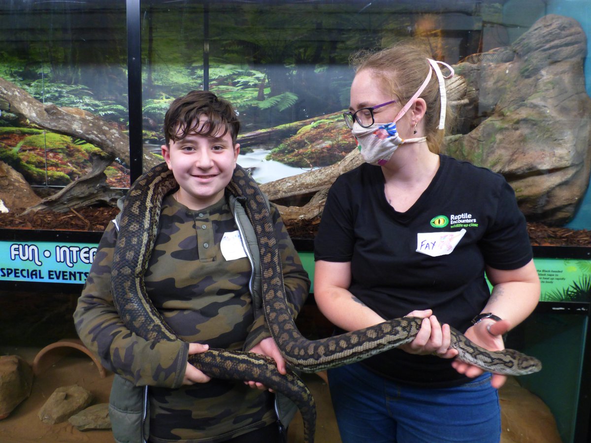 ReptileEnc's tweet image. Have you ever wanted to hold a snake? Come and visit us for our Snake Experience!!

Give us a call on 1300 427627