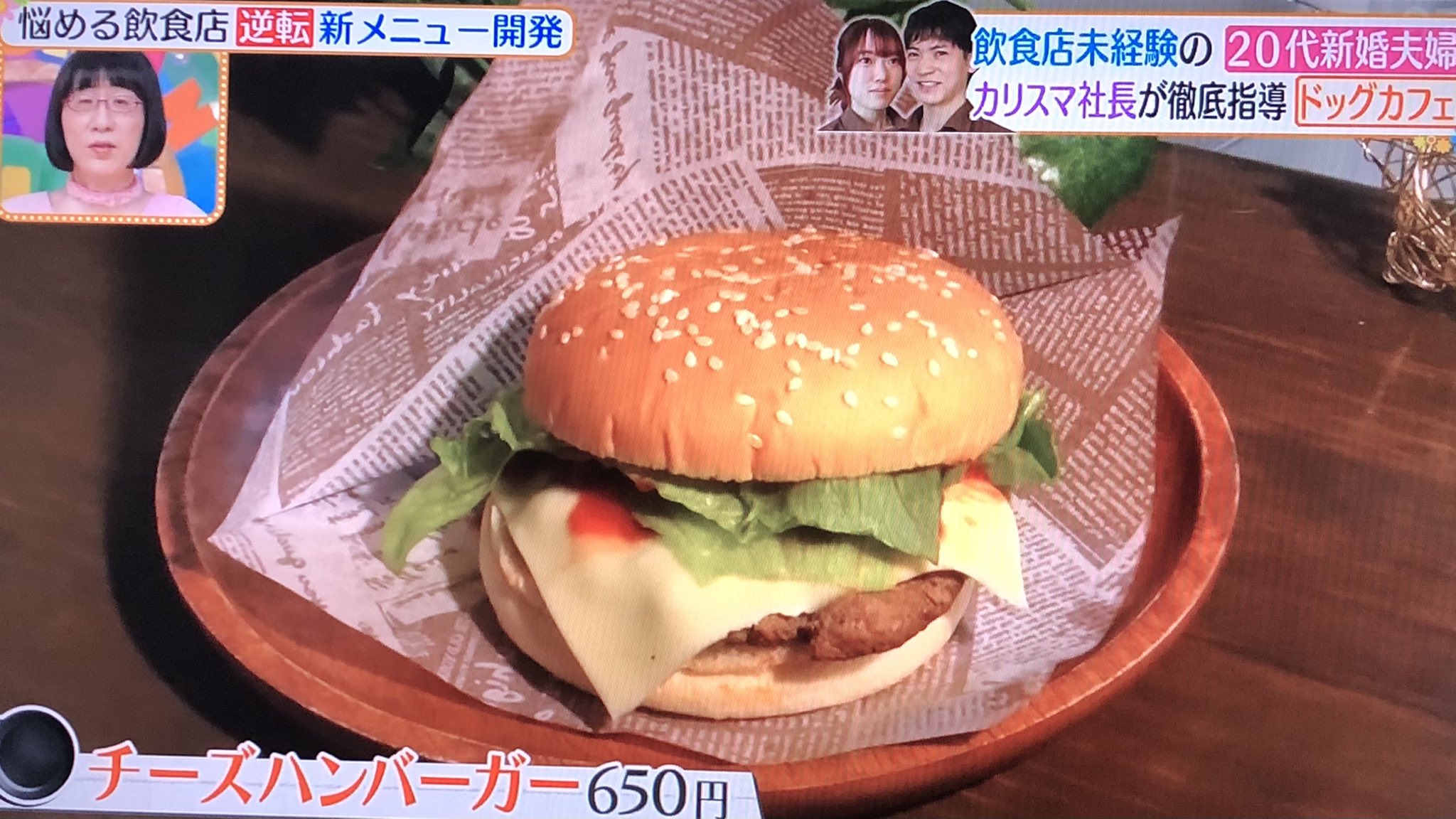 ヒルナンデスでドッグカフェ炎上 無知な夫婦が協力金頼りで経営し困難 ニュース速報japan
