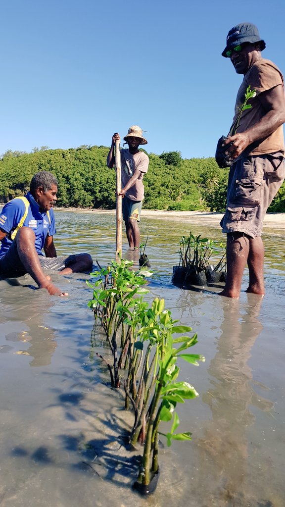 Apolosa Robaigau tweet media