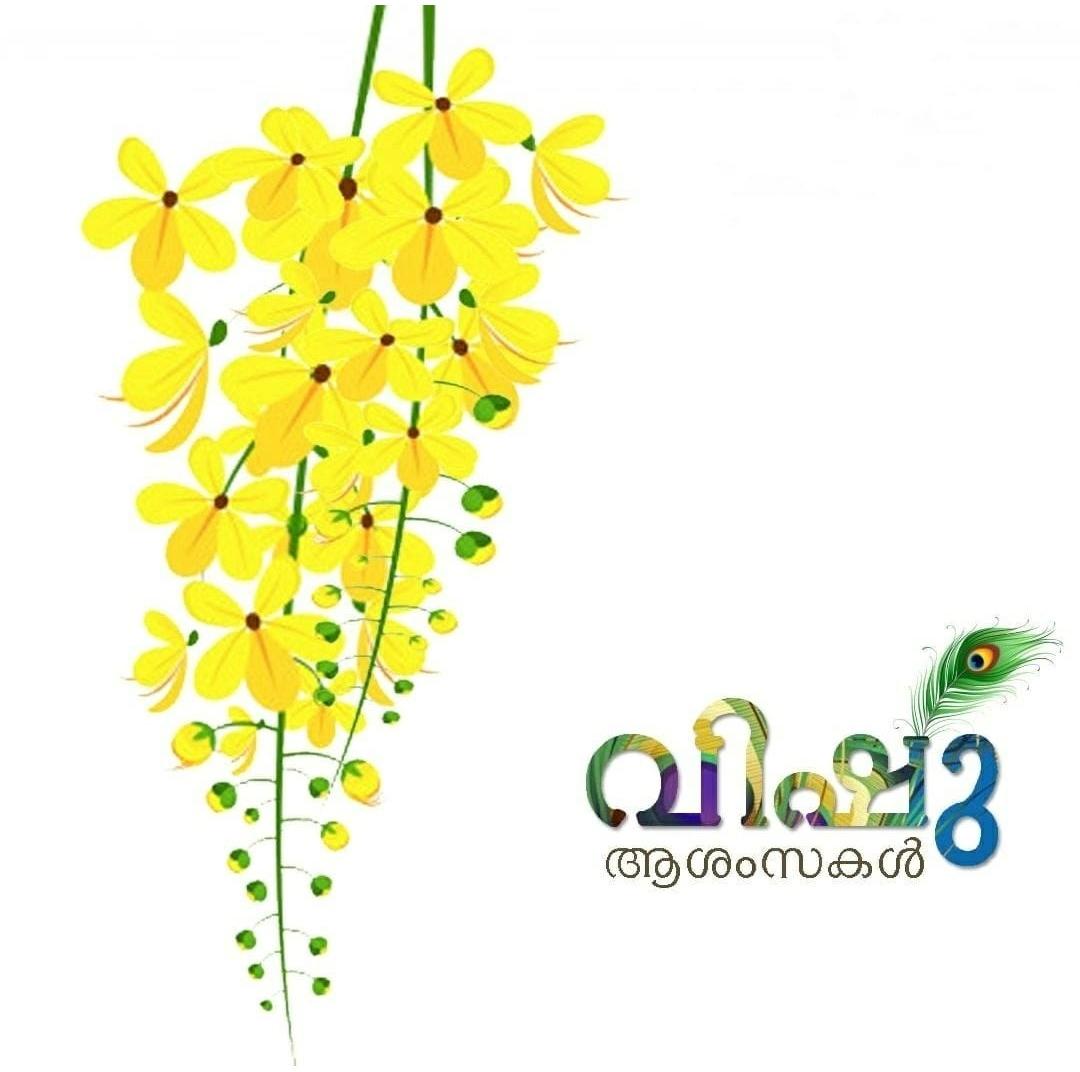 Happy ☺️ Vishu