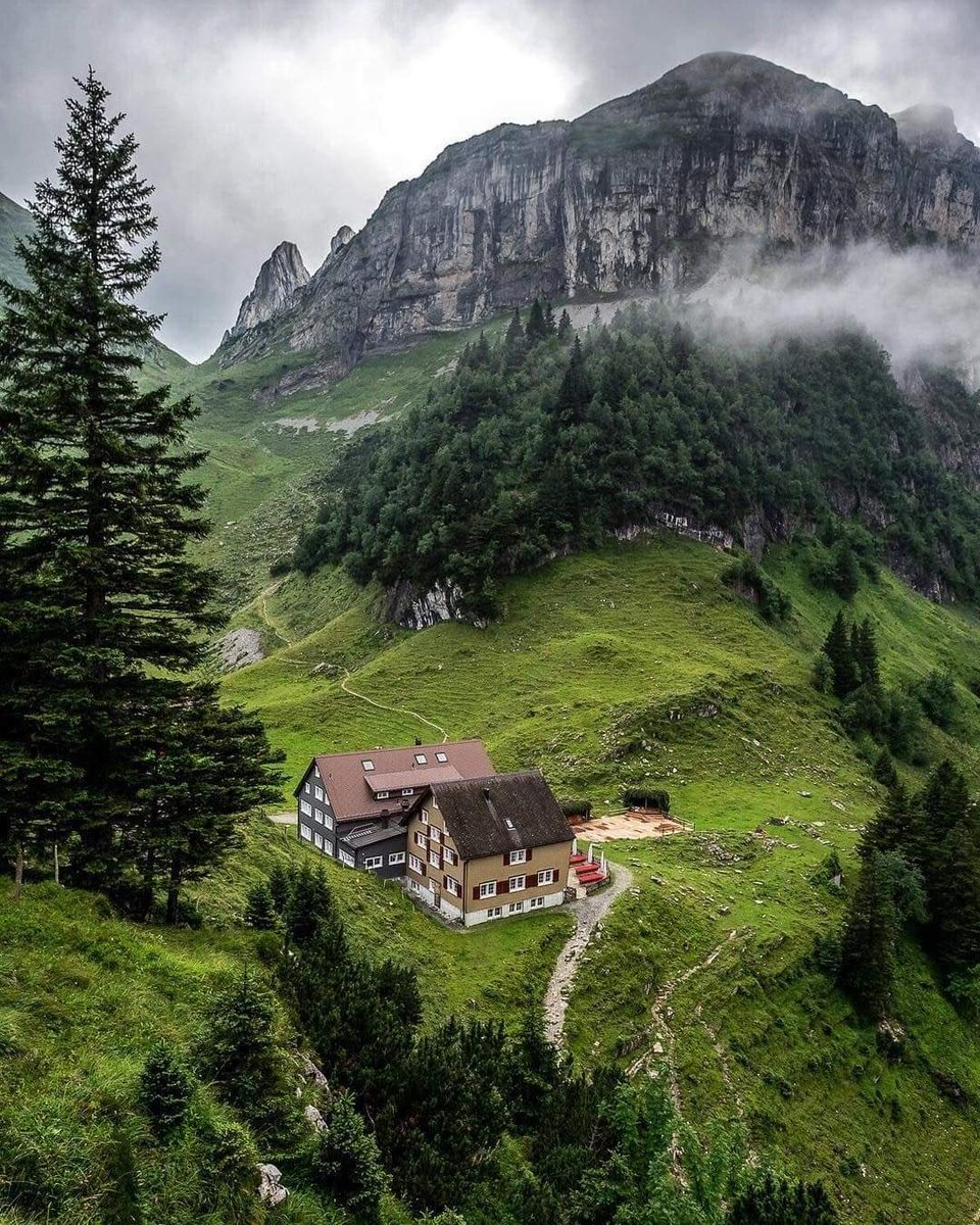 Adesso abbraccia un pensiero bello è portalo con te tutta la giornata...Buon Mercoledì a tutti!