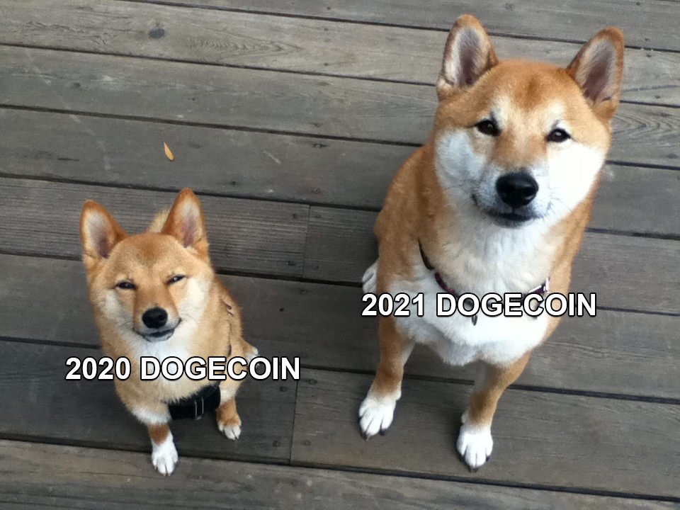 ثبت قیمت جدید #دوج_کوین #dogecoin  در ساعات گذشته.
قیمت دوج کوین به ۱۱ سنت رسید.تبریک به هولدران ایرانی این ارز.
#فوری #Iran