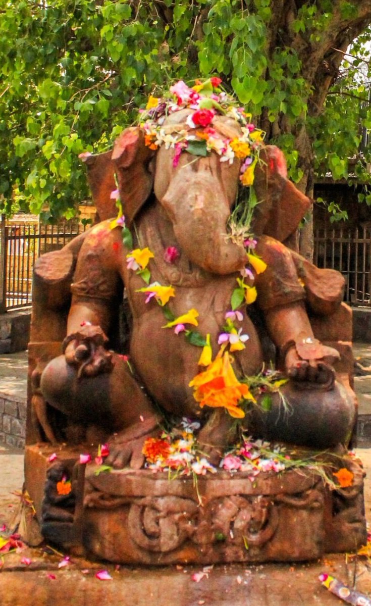 Rohini Mithra tweet media