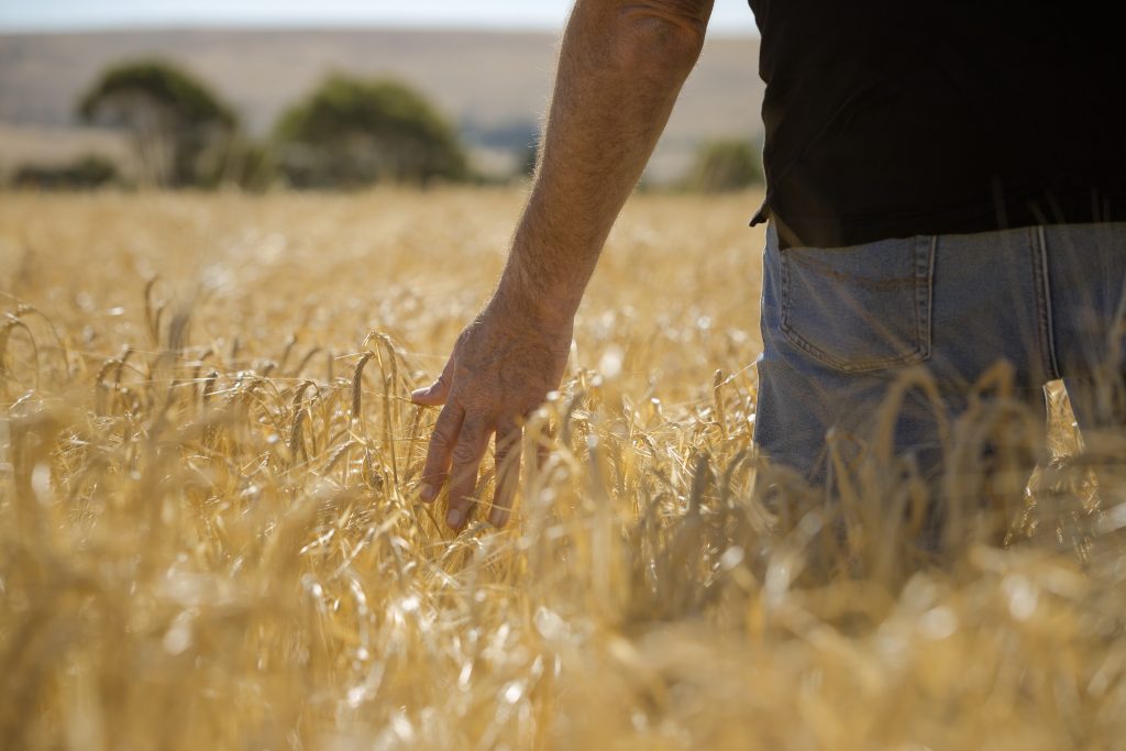 afm_aussie's tweet image. How good is a fully backed and secure Aussie Farmers Mutual? Finally!
createsend.com/t/t-8F8E027CC7…