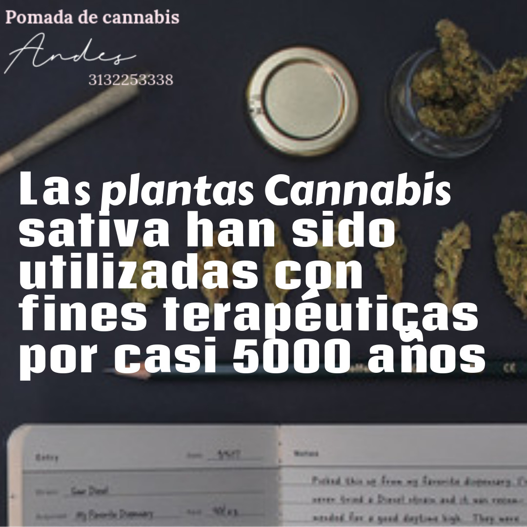 CannabisAndes's tweet photo. #herbal #esencias #aceite #migraña #vivesaludable #vivesano #vivenatural #cannabis #medicinanatural #salud #anticancerigeno #migrañas #contracturas #doloresmenstruales #adiosibuprofeno #duermebien #cannabisBogotá
#artritisseptica #artritisreumatoide
#Cannabiscolombia https://t.co/cDLq7JUnaG
