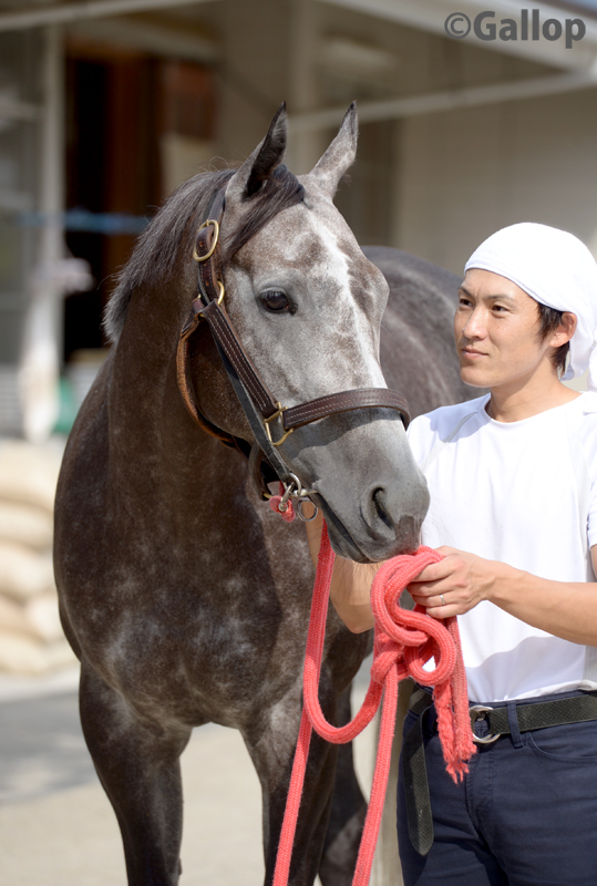 週刊gallop こちらが ウマ娘 で話題になっているカレンチャンです スプリンターズs 高松宮記念を制した名スプリンターでした キャラクターどおり 顔もかわいいですね カレンチャン 週刊gallop こちらが ウマ娘 で話題になっているカレンチャンです スプリンターズs 高松宮記念を制した名スプリンターでした キャラクターどおり 顔もかわいいですね カレンチャン