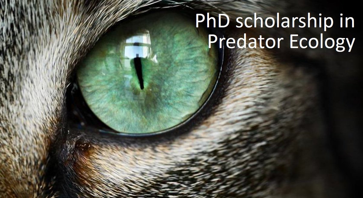 Murdoch University Research tweet media