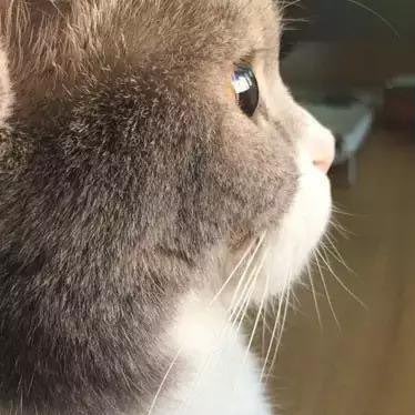 hourlyaeong's tweet photo. she https://t.co/jcKZgt2JJR